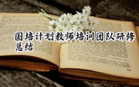 2024国培计划教师培训团队研修总结(9篇）