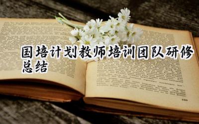 2024国培计划教师培训团队研修总结(9篇）