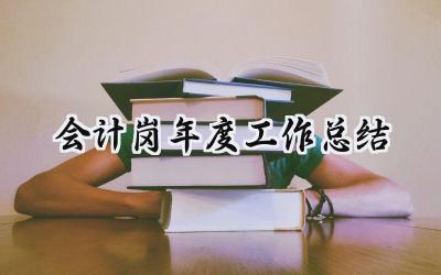 2024会计岗年度工作总结(15篇）