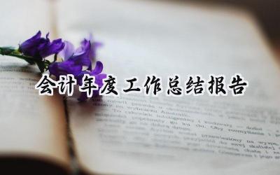 会计年度工作总结报告(11篇）
