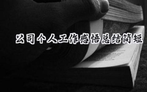 公司个人工作感悟总结简短(9篇）