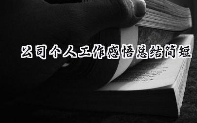公司个人工作感悟总结简短(9篇）