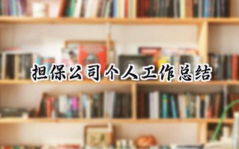 担保公司个人工作总结2024(9篇）