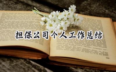 担保公司个人工作总结(16篇）