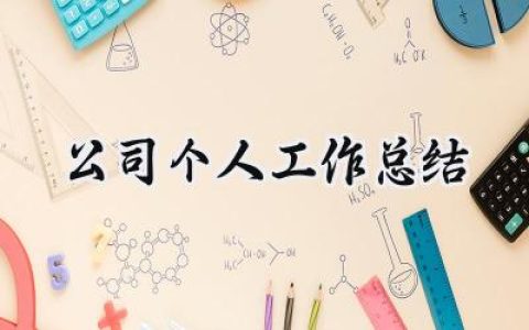 公司个人工作总结2024(15篇）