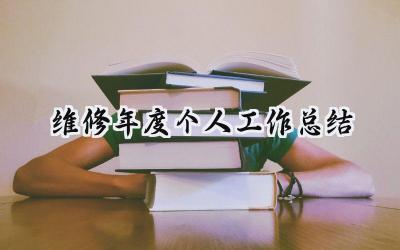 2024维修年度个人工作总结(10篇）