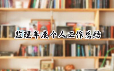监理年度个人工作总结(13篇）