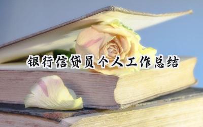 银行信贷员个人工作总结(12篇）