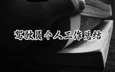 驾驶员个人工作总结(14篇）