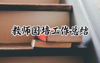 教师国培工作总结(16篇）