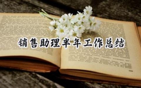 销售助理半年工作总结(5篇）
