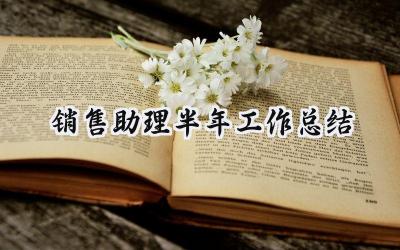 销售助理半年工作总结(5篇）