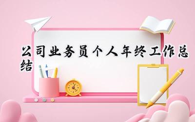 公司业务员个人年终工作总结(13篇）
