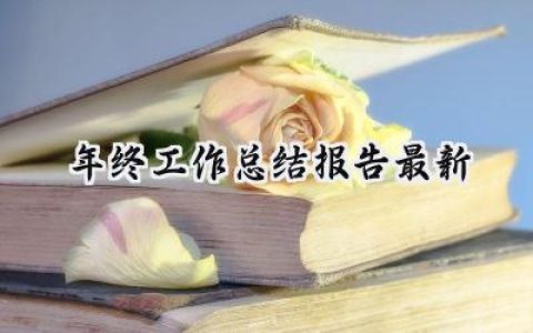 2024年终工作总结报告最新(10篇）