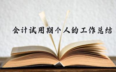 会计试用期个人的工作总结(15篇）