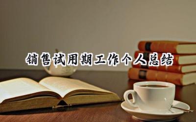 销售试用期工作个人总结(12篇）