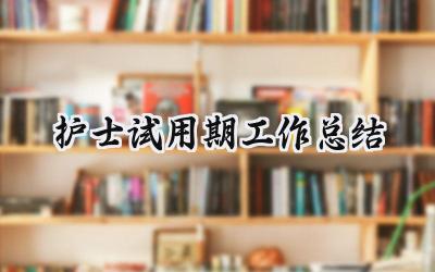 护士试用期工作总结(11篇）