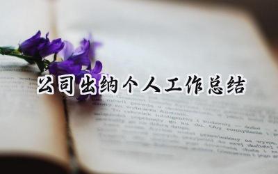 公司出纳个人工作总结(18篇）