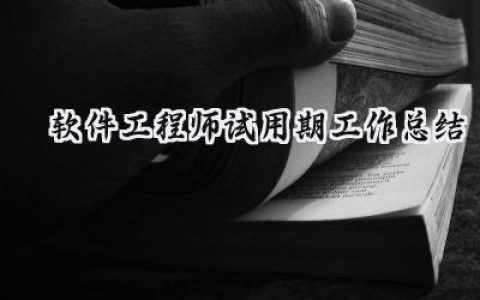 软件工程师试用期工作总结(9篇）