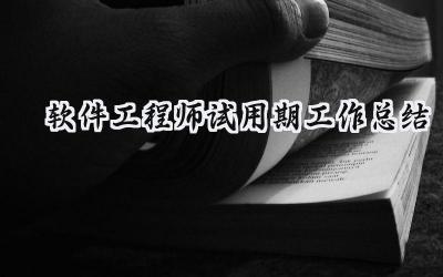 软件工程师试用期工作总结(9篇）