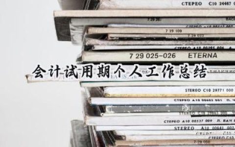 会计试用期个人工作总结(16篇）