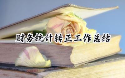 财务统计转正工作总结(8篇）