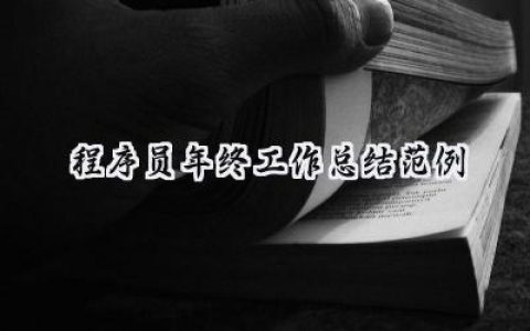 程序员年终工作总结范例(10篇）
