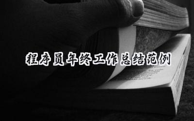 程序员年终工作总结范例(10篇）