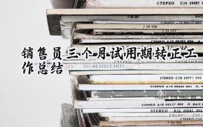 销售员三个月试用期转正工作总结(17篇）