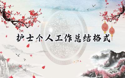2024护士个人工作总结格式(9篇）