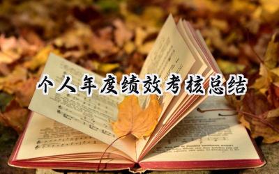 个人年度绩效考核总结(10篇）