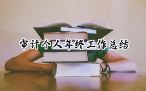 审计个人年终工作总结(17篇）