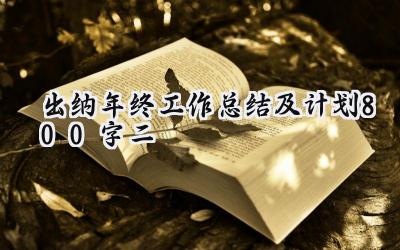 出纳年终工作总结及计划800字二(12篇）