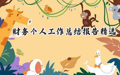 财务个人工作总结报告精选(12篇）