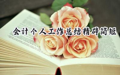 会计个人工作总结精辟简短(14篇）