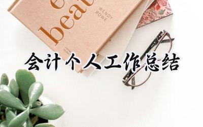 会计个人工作总结(15篇）