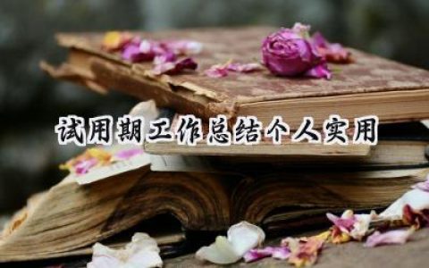 试用期工作总结个人实用(11篇）