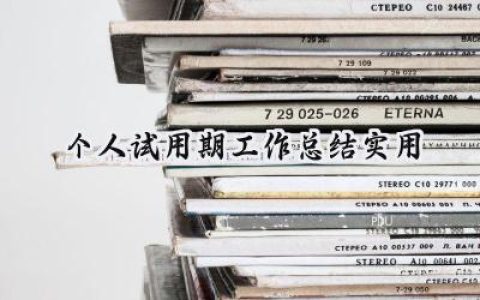 个人试用期工作总结实用(9篇）