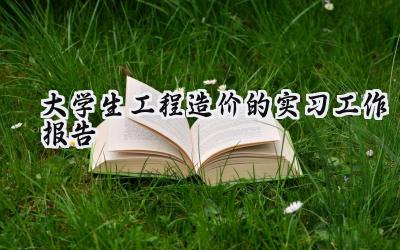 大学生工程造价的实习工作报告(16篇）