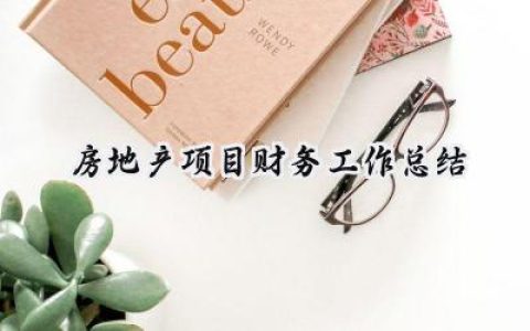 房地产项目财务工作总结(10篇）