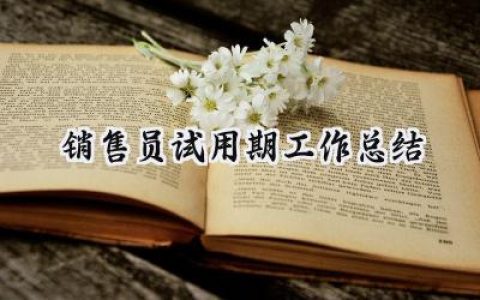 销售员试用期工作总结(14篇）