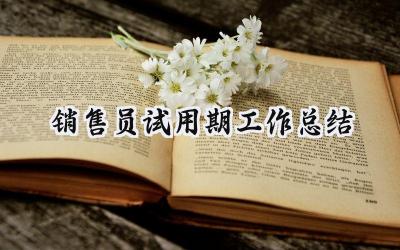 销售员试用期工作总结(14篇）