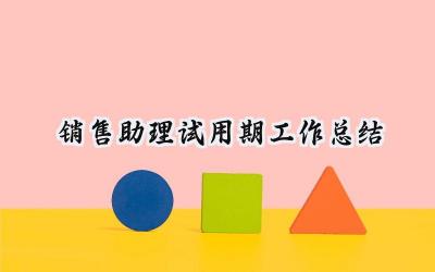 销售助理试用期工作总结(17篇）