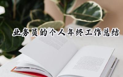 业务员的个人年终工作总结(12篇）