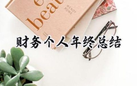财务个人年终总结(11篇）