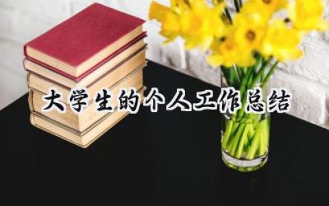大学生的个人工作总结(13篇）