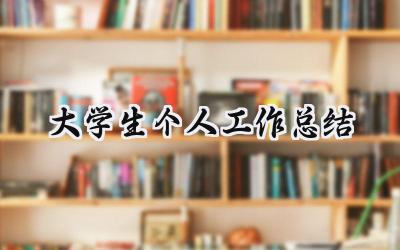 大学生个人工作总结(17篇）