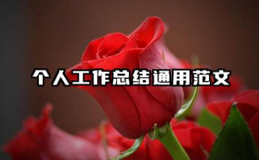 个人业绩工作总结 个人工作总结通用范文