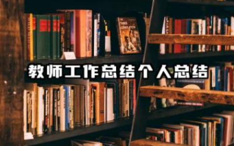 教师工作总结个人总结 教师工作个人工作总结