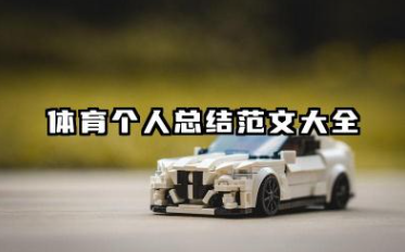 体育个人总结范文大全 体育工作的个人总结